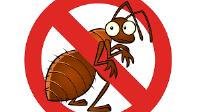 Mosquito Pest Control Perth image 7